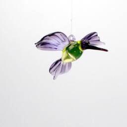 36-250 Hummingbird Tina - thumbnail 3