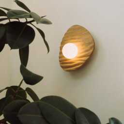 Towan Wall Light in Solid Oak/Walnut - thumbnail 2