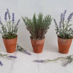Faux Lavender in Genuine Vintage Terracotta Pots A Trio Of Small Artificial Plants - thumbnail 2