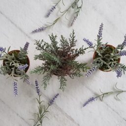 Faux Lavender in Genuine Vintage Terracotta Pots A Trio Of Small Artificial Plants - thumbnail 3