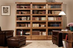 Globe Wernicke Style Modular Bookcase - Natural Wood Skano Shelving - thumbnail 1