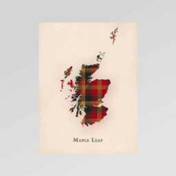 Clan Maple Leaf Scottish Tartan Map - Of Scotland Family Wall Decor, Ready To Hang - thumbnail 2
