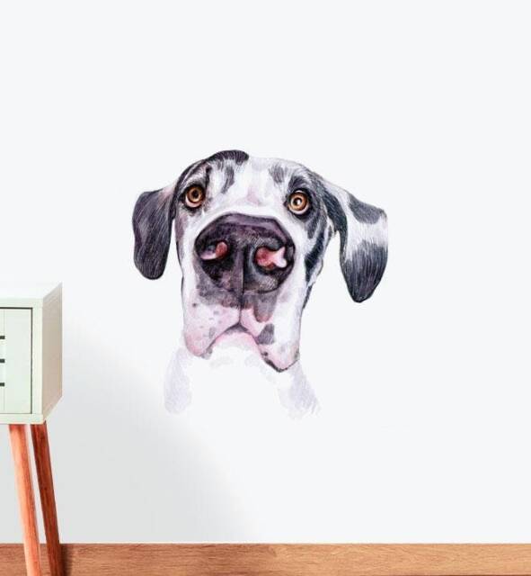 Great Dane Black & White Wall Sticker Decal - Dogs & Pets Stickers, Art, Decals, Kids Animals Decals