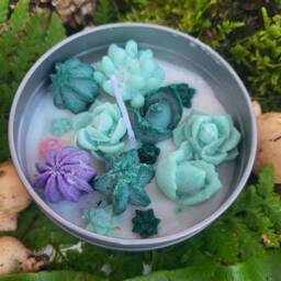 Succulent Flower Candle Plant Pot Candle 8Oz Soy Vegan Cruelty Free Christmas Gift Catus - thumbnail 3