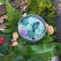 Succulent Flower Candle Plant Pot Candle 8Oz Soy Vegan Cruelty Free Christmas Gift Catus - thumbnail 2