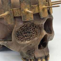The Blind King . Realistic Plaster Of Paris Life Size Human Skull Replica - thumbnail 2