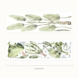 Jungle Plants - Watercolour Wall Decals, Plastic-Free Kids Room Wall Stickers - thumbnail 2