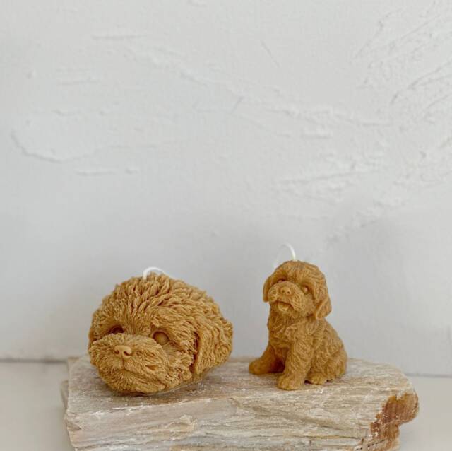 Teddy Dog Soy Wax Candle, Puppy Gift, Home Decor - image 1