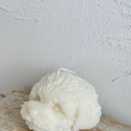 Teddy Dog Soy Wax Candle, Puppy Gift, Home Decor - thumbnail 2