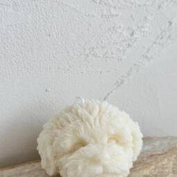 Teddy Dog Soy Wax Candle, Puppy Gift, Home Decor - thumbnail 3