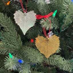 Leaf Ornament Silver, Real Cottonwood Leaf, Extra Large, Gift, Christmas Card - thumbnail 3