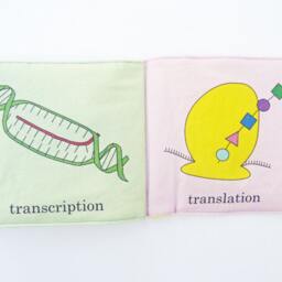 Cloth Book - Molecular Genetics - thumbnail 4