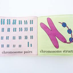 Cloth Book - Molecular Genetics - thumbnail 3