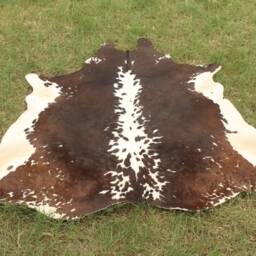 Amazing Tricolor Cowhide Rug Cow Skin Hide 5 X Floor - thumbnail 3