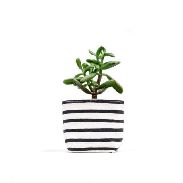 Black Stripe Canvas Planter, 4 - image 1