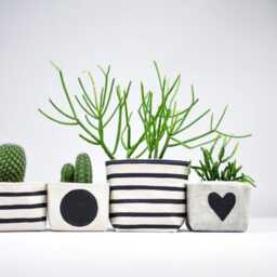 Black Stripe Canvas Planter, 4 - thumbnail 3