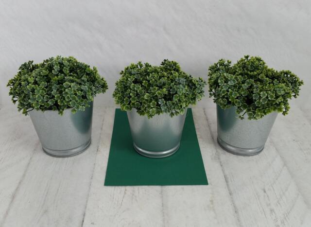 Faux Mind-Your-Own-Business Plant, Artificial Green Plant in Galvanized Pot, Soleirolia Soleirolii - image 1
