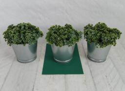 Faux Mind-Your-Own-Business Plant, Artificial Green Plant in Galvanized Pot, Soleirolia Soleirolii - thumbnail 1