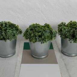 Faux Mind-Your-Own-Business Plant, Artificial Green Plant in Galvanized Pot, Soleirolia Soleirolii - thumbnail 2