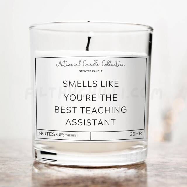 You're The Best Teaching Assistant, Birthday Gift For Teacher, Present Teacher Idea, Candle, End Of Term Gift, ??? - image 1