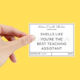 You're The Best Teaching Assistant, Birthday Gift For Teacher, Present Teacher Idea, Candle, End Of Term Gift, ??? - thumbnail 2