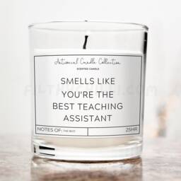 You're The Best Teaching Assistant, Birthday Gift For Teacher, Present Teacher Idea, Candle, End Of Term Gift, ???