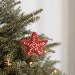 Felt Star Christmas Ornament With Snowflake Embroidery, Biodegradable Ornaments, Tree Decorations