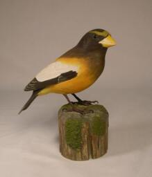 Evening Grosbeak Wooden Carved Bird Carving Sculpture - thumbnail 2