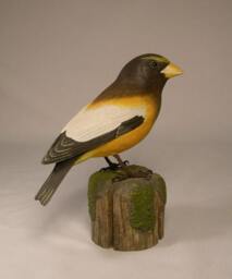 Evening Grosbeak Wooden Carved Bird Carving Sculpture - thumbnail 3