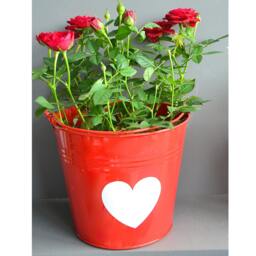 Personalised Red Buckets With White Letter - Customised Alternative Planters Indoor Herb Garden - thumbnail 2