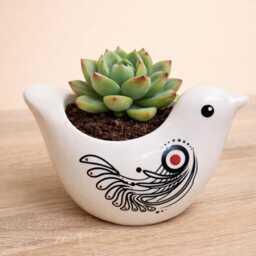 Ceramic White Bird Succulent Plant Pots/Small Desktop Pot Indoor Office Home Decor Cute Animal Planters House Warming Gift - thumbnail 3