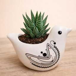 Ceramic White Bird Succulent Plant Pots/Small Desktop Pot Indoor Office Home Decor Cute Animal Planters House Warming Gift - thumbnail 2