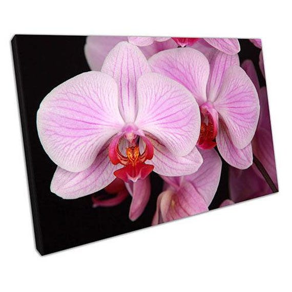 Elegant Pink Orchid Canvas Wall Art Ready-To-Hang Floral Decor For Home, Office, Living Room & Bedroom - image 1