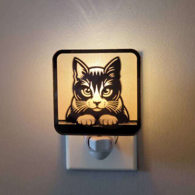 Kitty Staring Contest Mirrored Acrylic Night Light - image 1