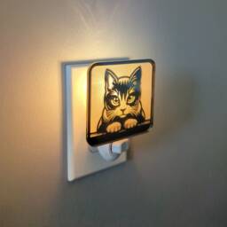 Kitty Staring Contest Mirrored Acrylic Night Light - thumbnail 3