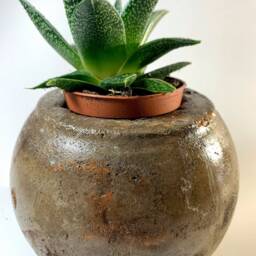 Concrete Planter - thumbnail 2