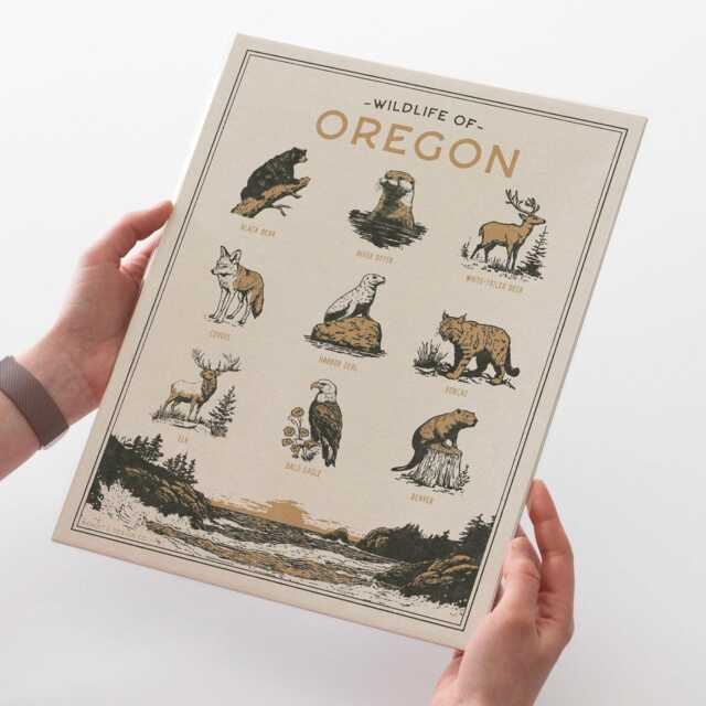 Oregon Wildlife Wall Art Print - Vintage Animal Poster Design, Archival Quality Matte Fine Art Print. Outdoor, State Gift - image 1