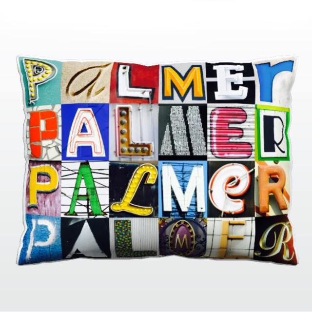Personalized Pillow Featuring Palmer in Photos Of Sign Letters Custom Couch Cushions Colorful Pillows Photo Pillow Sofa Pillows
