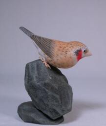 Cut-Throat Finch Hand Carved Wooden Bird - thumbnail 3