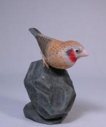 Cut-Throat Finch Hand Carved Wooden Bird - thumbnail 1