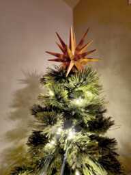 Borromini Star Christmas Tree Topper