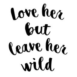 Nursery Wall Decal - Love Her But Leave Wild Vinyl Quotes Girls Bedroom Decor Vwaq - thumbnail 2