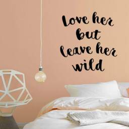 Nursery Wall Decal - Love Her But Leave Wild Vinyl Quotes Girls Bedroom Decor Vwaq - thumbnail 1