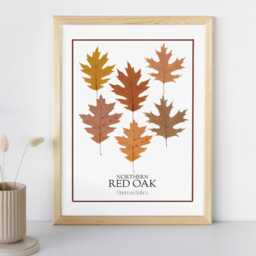 Northern Red Oak Leaf Print Botanical Wall Art - Digital Download