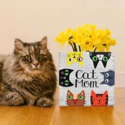 Cat Mom Planter Hand Painted Wood Succulent Planter, Mother's Day - thumbnail 2