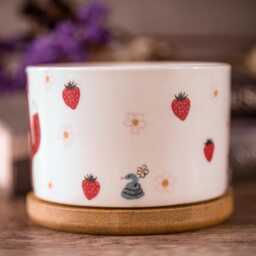 Autumn Forest Foxes Strawberry Ceramic Succulent Planter, Gift, Cactus Fall Home D??cor, Love Cute Decor, Sweet Gift - thumbnail 3