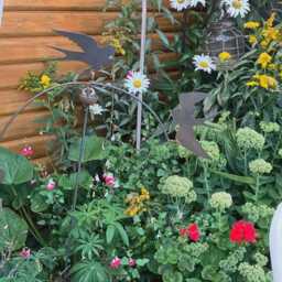 Rusty Metal Swallow Wind Rocker - Garden Art Decoration - thumbnail 1
