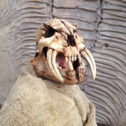 Barbarian Skull Helmet Conan Style Mask, Halloween Costume Prop