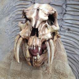 Barbarian Skull Helmet Conan Style Mask, Halloween Costume Prop - thumbnail 4