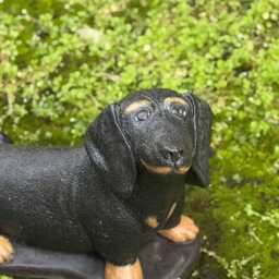Cute Dachshund Dog Statue Concrete Black Sculpture Outdoor Animal Figurine Garden Pet Ornament Memorial Dachshund Lover Gift - thumbnail 2